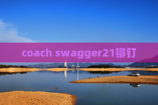 coach swagger21铆钉